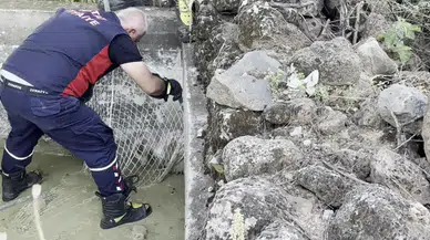 Su İçmek İstemişti: Hatay'da Ekipleri Harekete Geçiren Olay