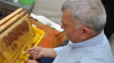Gazipaşa Sırtlarında Arıcıların Zorlu Mesaisi Başladı