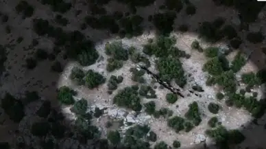 Mersin'de kaybolan 40 küçükbaşa dronlu takip: Sahibine teslim edildi