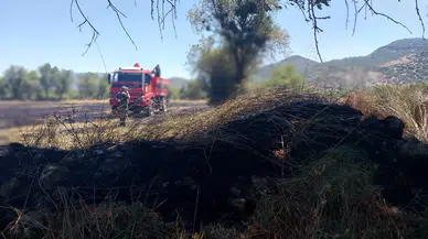 Burdur'da Anız Yangını Paniği! 5 Dönümlük Alan Kül Oldu
