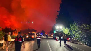 Fethiye'deki Alevler Geceyi Aydınlattı, Seydikemer Yangını Büyük Ölçüde Kontrol Altında