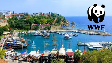 WWF Platformunda Büyük Başarı: Antalya İklim Projeleriyle Finalde