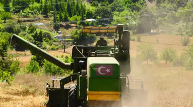 Türkiye'den Küresel Tarımda Tarihi Rekor: İlk Kez 80 Milyar Dolar Sınırını Aştı