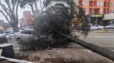 Isparta'da Fırtına Dehşeti: Dev Ağaç Otomobile Düştü