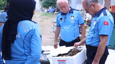 Antalya Otogarı’nda Sağlıksız Sevkiyat: 90 Kilogram Kerevite El Konuldu