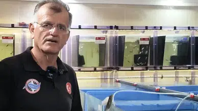 Antalya'da Tıbbi Şifa Kaynağı Doktor Balıklar Üretiliyor