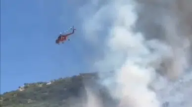 Demre'de Orman Yangını: Hızlı Müdahaleyle Söndürüldü!