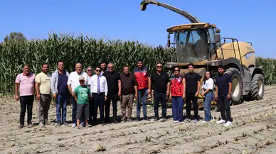 Arsuz'da Silajlık Mısır Hasadı Başladı! Dekarda 7,5 Ton Verim Bekleniyor