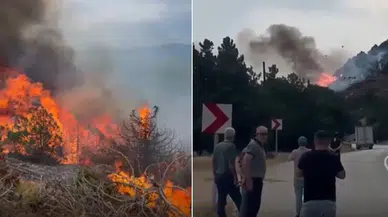 Isparta’da Orman Yangını!  Alevler Kontrol Altına Alınmaya Çalışılıyor