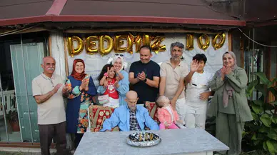 Amasya'da Asırlık Çınara 100'üncü Yaş Günü Sürprizi