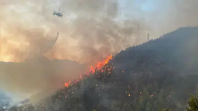 Antalya Dahil 25 İlde 73 Orman Yangını: 12 Şüpheli Tutuklandı