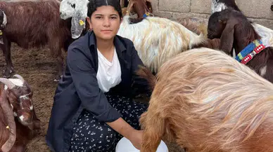 16 Yaşındaki Esmanur 5 Keçiyle Başladı, Sürüsünü 30’a Çıkardı!