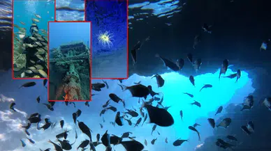 Antalya'nın Batıkları Dünya Dalış Turizminin Gözdesi