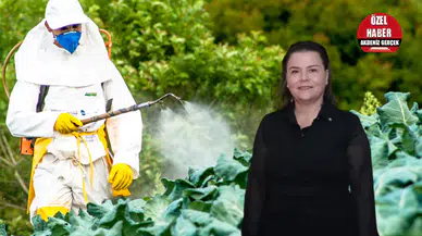 Tarımda En Çok Pestisit Kullanılan İl Olan Antalya İçin Uzmanından Açıklama