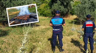 Antalya’da Yangın Tehlikesi: Yasaklara Rağmen Mangal Yaktılar