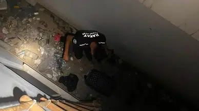 Hatay'da Farklı Noktalarda Mahsur Kalan Hayvanlar Güvenli Yaşam Alanlarına Kavuştu