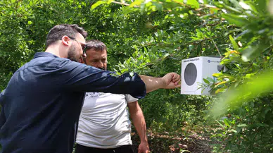 Tarımda Kimyasal Dönem Kapanıyor Antalyalı Üreticiye Faydalı Böcek Desteği