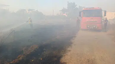 Hatay'da Zeytinlik Yangını: Evlere Sıçramadan Söndürüldü