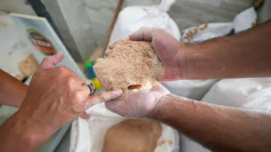 Tarsus'ta Dev Gıda Operasyonu: Böceklenmiş 30 Ton Un İmha Edildi