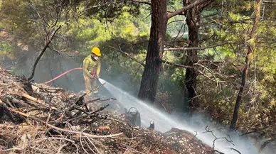 Alanya’da Orman Yangını Paniği! Alevler Büyümeden Söndürüldü