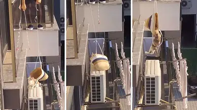 Serik'te Klima Motorunda Mahsur Kalan Kediyi Düzenekle Kurtardı