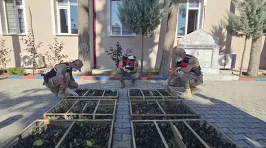 Hatay’da Sınırda Şok Operasyon: 2 Bin 114 Saka Kuşu Ele Geçirildi