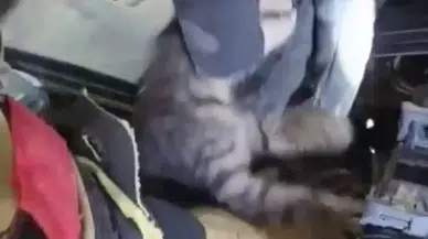 Motor Kısmında Mahsur Kaldı! İtfaiyecinin “Minnoş” Sözleri Yürekleri Isıttı