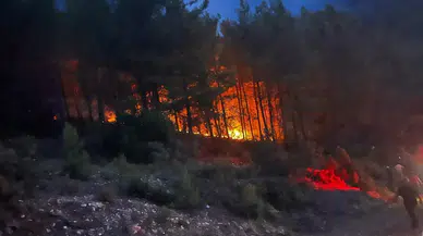 Alanya Gözüküçüklü'de Sabaha Karşı Orman Yangını: 7 Dönüm Alan Yandı