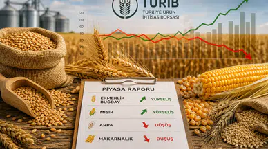 Ekmeklik Buğday ve Mısırda Yükseliş, Arpa ve Makarnalıkta Düşüş
