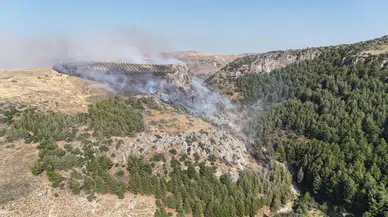 Hatay’da Orman Yangını Söndürüldü!