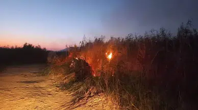 Hatay'da Kamışlık Yangını Paniği! Alevler Büyümeden Söndürüldü