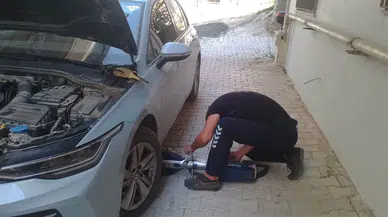 Reyhanlı Ve Defne'de Kedi Operasyonu: Ekipler Zamanla Yarıştı