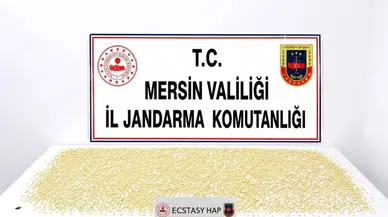 Yenişehir'de Uyuşturucu Operasyonunda 3 Bin 760 Hap Bulundu