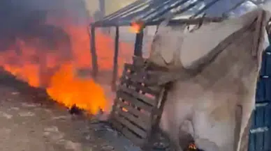 Mersin'de Baraka Yangını Ormana Sıçramadan Söndürüldü