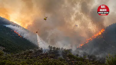 Alanya, Kumluca ve Kaş Yangınlarının Bilançosuna Ulaşıldı