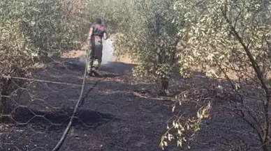 Dörtyol'da Bahçe Yangını Büyümeden Kontrol Altına Alındı