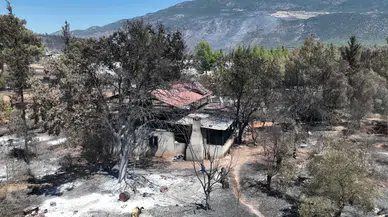 Kaş'ta Orman Yangını Çavdır ve Palamut Mahallelerini Vurdu!