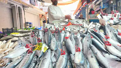 İzmir'de Palamut Bolluğu: Tanesi 100 Liradan Satılan Balık Tezgahları Şenlendirdi