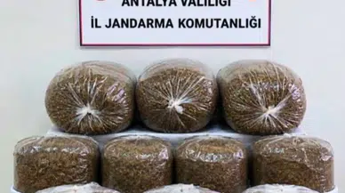 Döşemealtı, Aksu ve Alanya'da Yasa Dışı Ticarete Darbe!