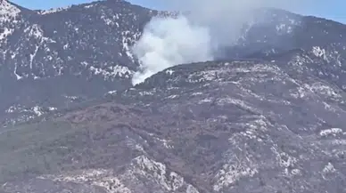 Kaş'ta Orman Yangını! Alevlere Havadan ve Karadan Müdahale