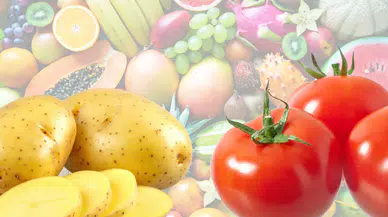 Antalya Toptancı Hali’nde Domates, Patates ve İthal Meyve Fiyatları Belli Oldu
