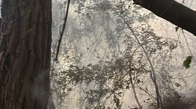 Hatay Dörtyol'daki Orman Yangınına Havadan ve Karadan Müdahale