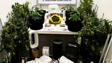 Kepez ve Döşemealtı’da Evleri Uyuşturucu Seralarına Çevirmişler