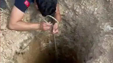 Adana'da Kuyuya Düşen Köpek İtfaiye Tarafından Kurtarıldı