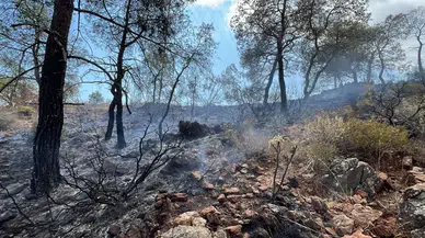 Kemer Çamyuva'da Orman Yangını Çıktı