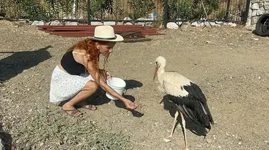 Göç Yorgunu Leyleğe Yurttaşlar Sahip Çıktı