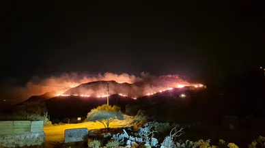 Bodrum'da Gece Yarısı Yangın! Alevler Rüzgârın Etkisiyle Hızla Yayıldı