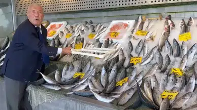 Tezgahlarda Balık Bolluğu Palamut 100, Hamsi 200 TL