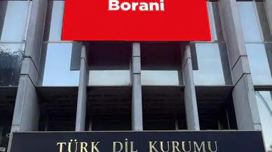 TDK'den Günün Kelimesi: Anadolu'nun Lezzeti Borani