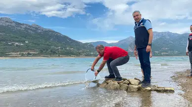 Adana'da 665 Bin Sazan Yavrusu Doğal Yaşam Alanına Bırakıldı